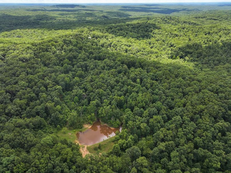 DJI_20250709125651_0412_D