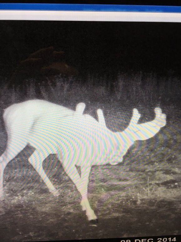 55426485012__99A99531-BC6D-4411-922A-67D129866949