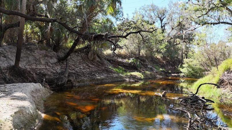 DJI_20260221142719_0322_D