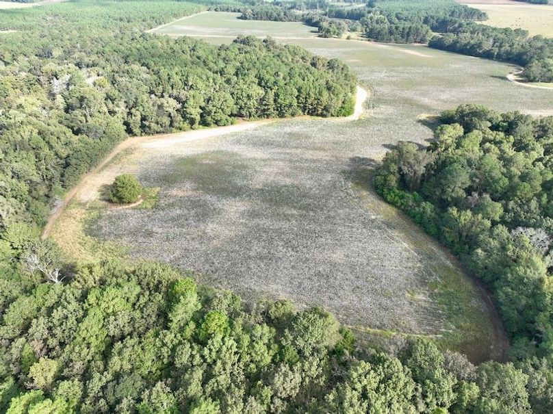 dji_fly_20251007_101042_231_1759846413516_photo