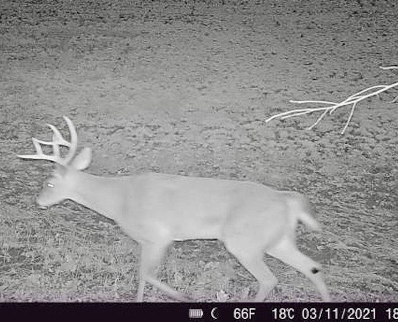 865519049946661-100-4-03112021181414-W1000335