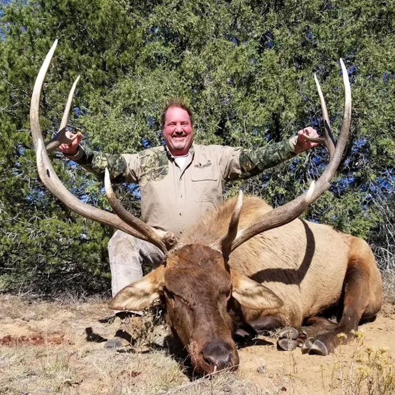 Big bull harvest