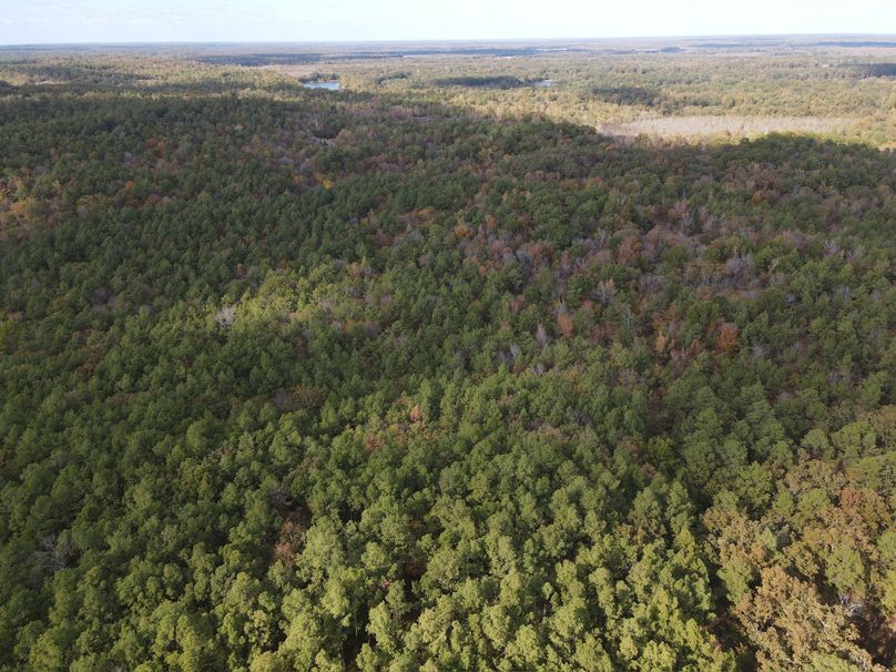 E9560BBE-A6C1-4EBD-B90C-3A98BC8AE8A3_1_102_o