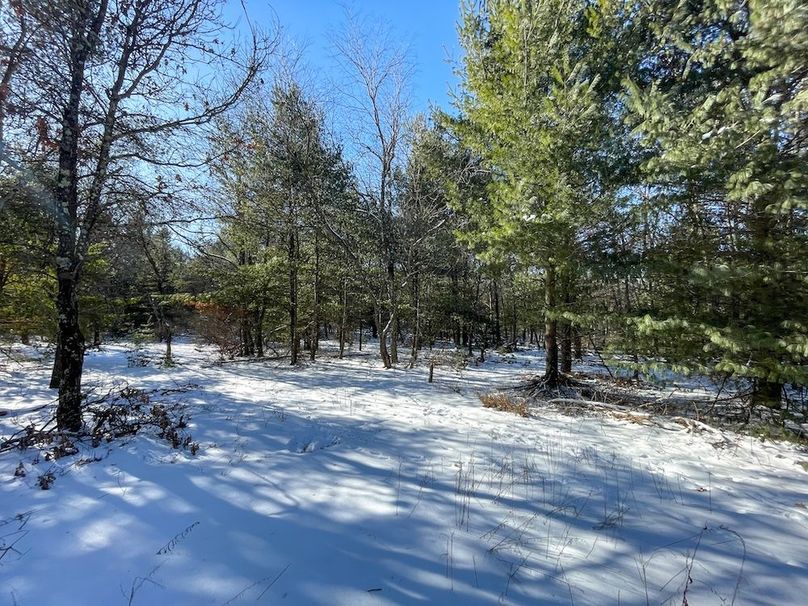 Adams 25, Nessler -55