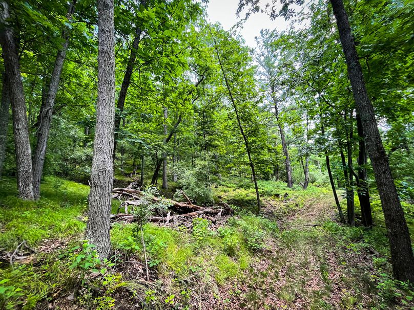 Tompkins_30.49_Schoonover_Photos_23