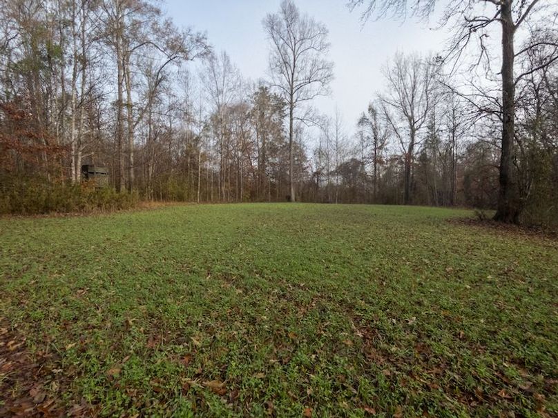 Claiborne Co - 274 - Marian-004