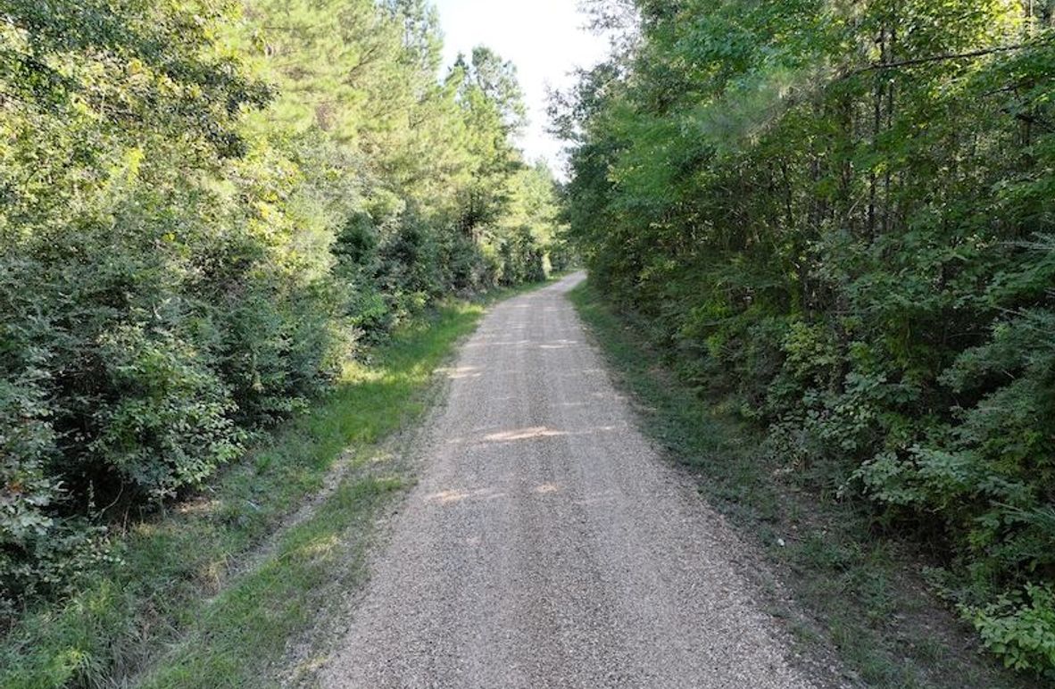 dji_fly_20250908_093728_0410_1757354106489_photo