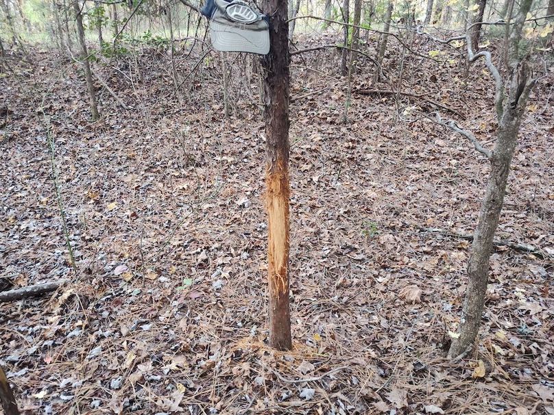 IMG_20251105_152721847