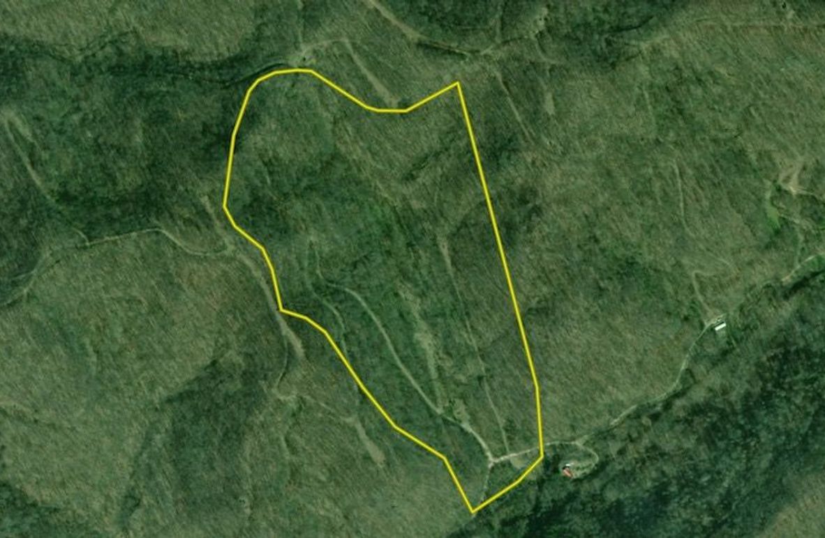 Screenshot 2026-02-02 at 11.27.08 AM