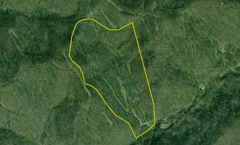 Screenshot 2026-02-02 at 11.27.08 AM