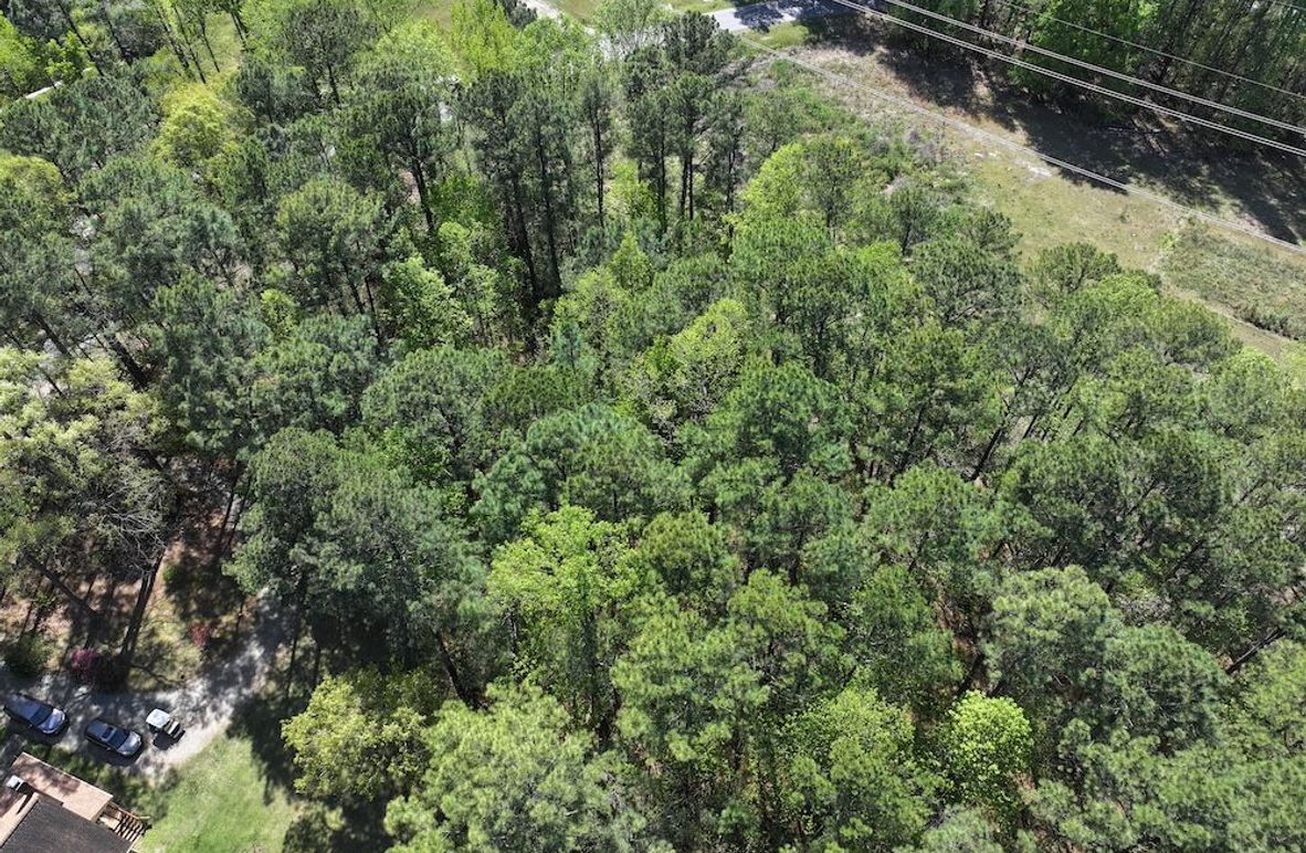 dji_fly_20260320_114958_0612_1776087141572_photo