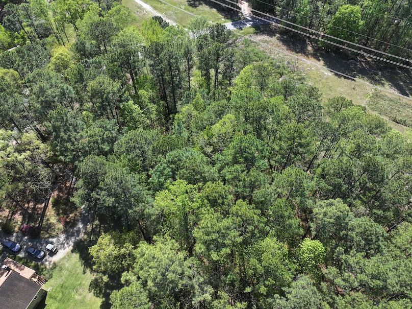 dji_fly_20260320_114958_0612_1776087141572_photo