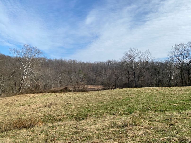 031 pasture or area to cut hay in the far northwest corner copy