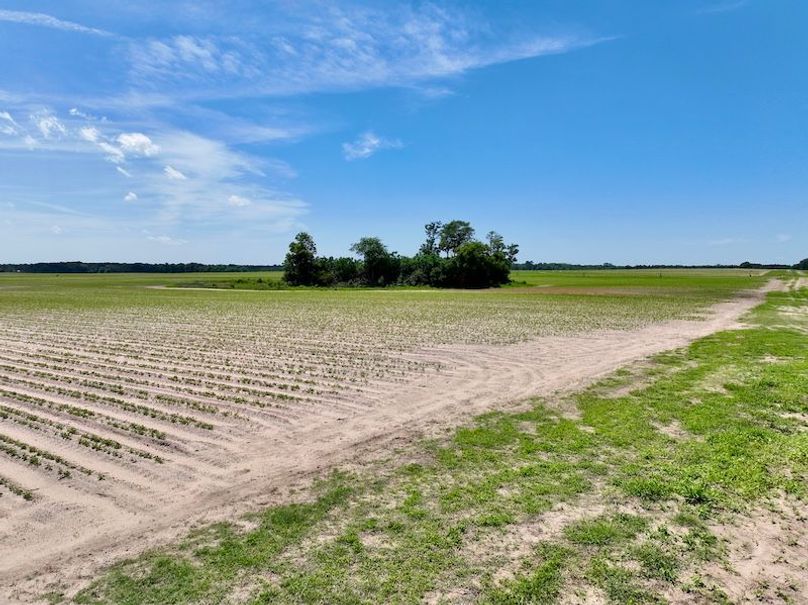 dji_fly_20250521_144720_886_1747853593803_photo