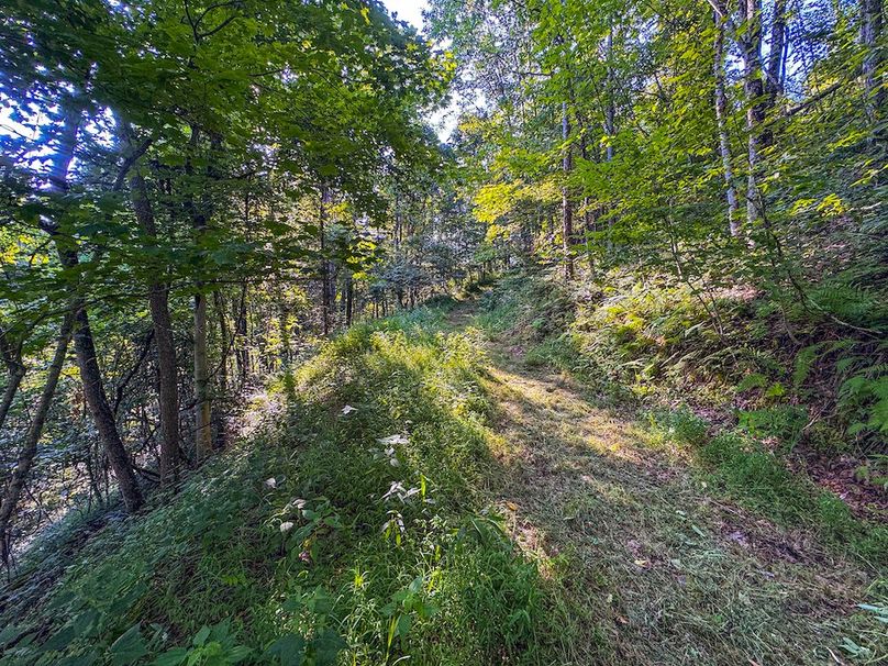 Lewis, WV 82.87 AC Barger-075