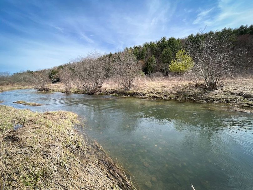 Tioga__NY_109.7_Burris_Photos_126