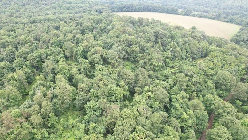 dji_fly_20250714_141428_443_1752537414704_photo