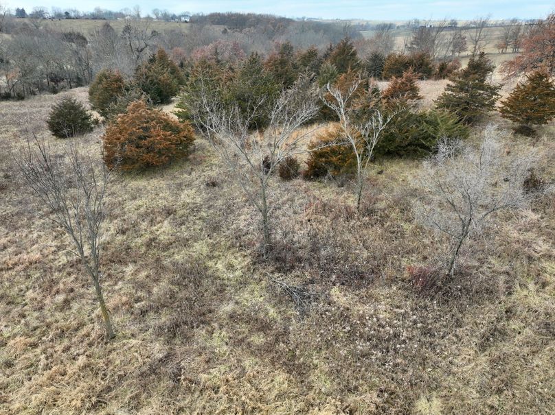 DJI_0860