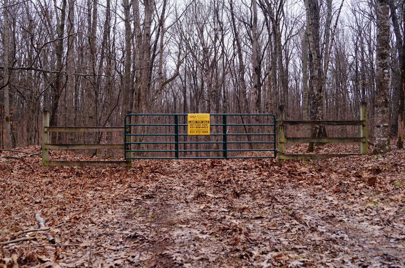 2.Gate at Entrance