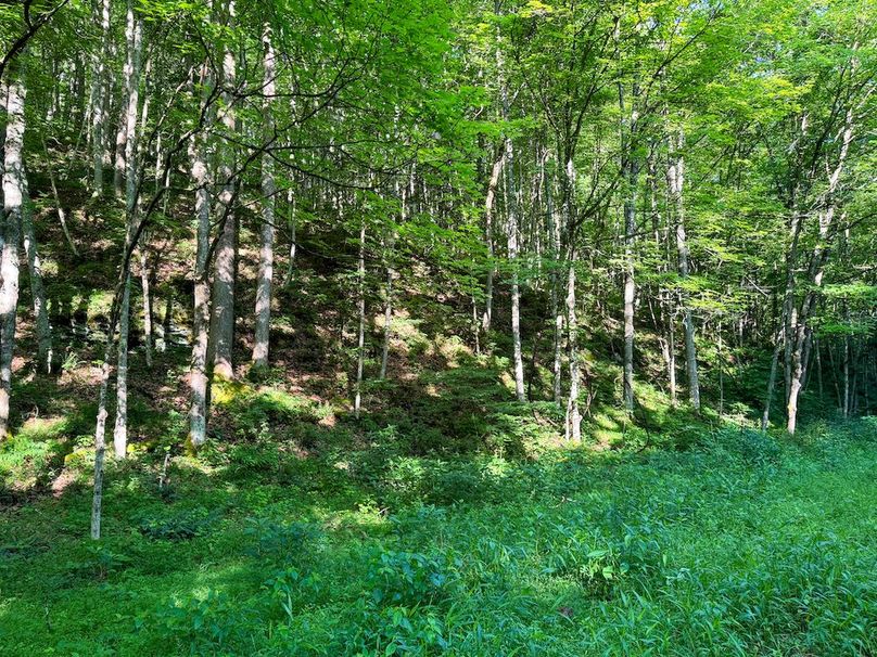 Ritchie, WV 92 AC Thompson-38