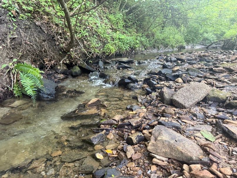 024 the blue line stream leading through the middle of the property-2