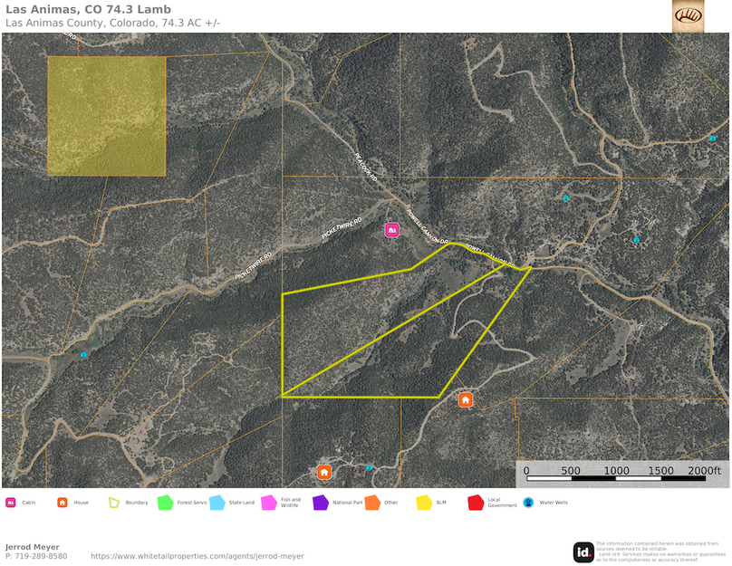 Las Animas, Co 74.3 Lamb Close Up
