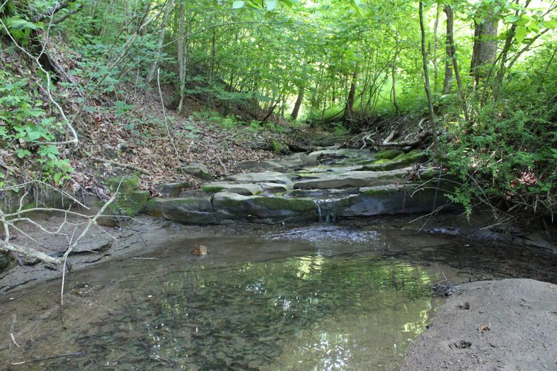 016 small waterfall_rock formation in the creek behind the old home