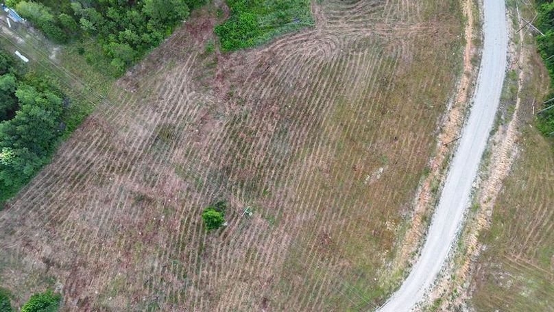 Madison Co - 20.25 - Camden Glenn-11