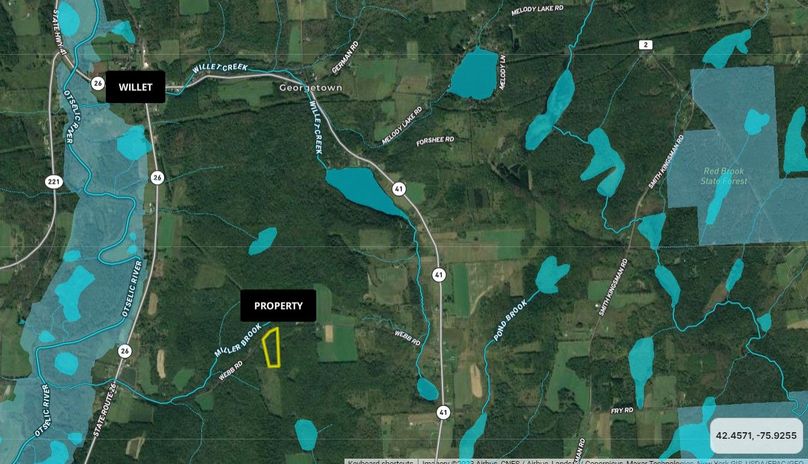 Cortland 9.84 Hansen Wide Area