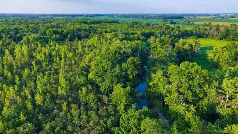 DJI_20240819183928_0154_D