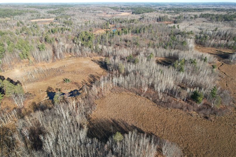 dji_fly_20231113_100454_280_1699892004414_photo