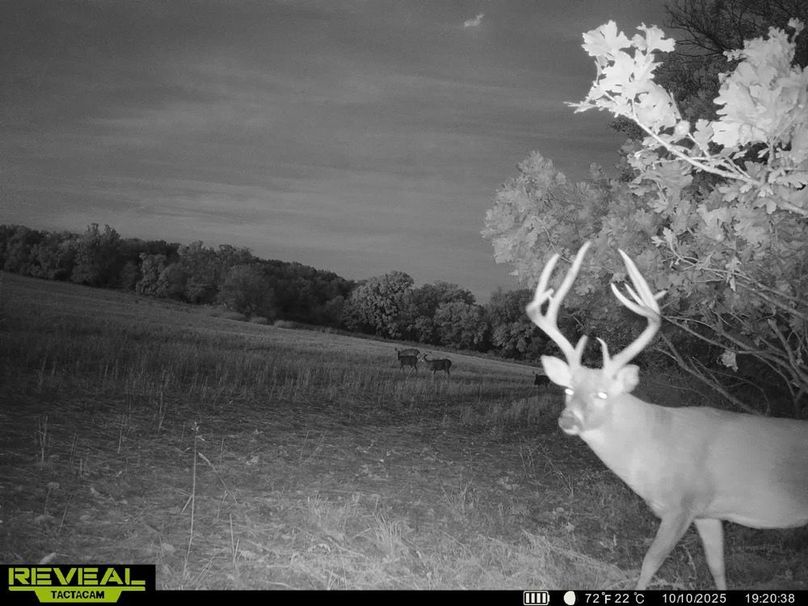 860322062399974-100-4-10112025031609-HD-SYEW0023