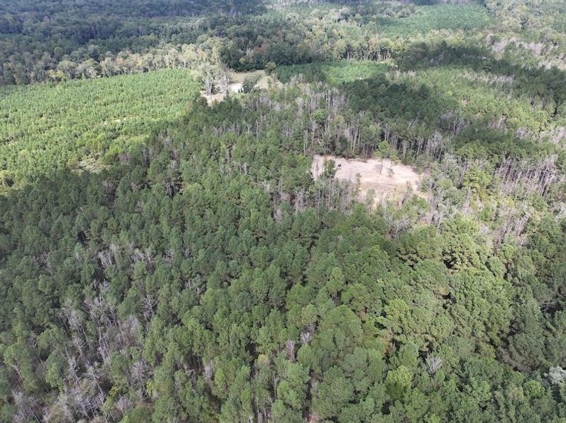 dji_fly_20251001_134804_0607_1759492693393_photo