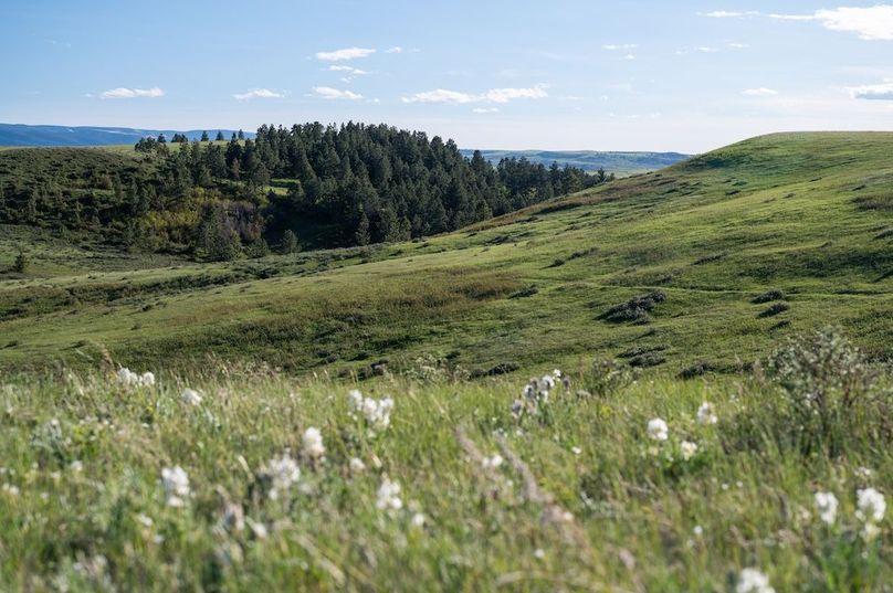 81A080C7-6BFD-4A14-854D-7B59B7B79259