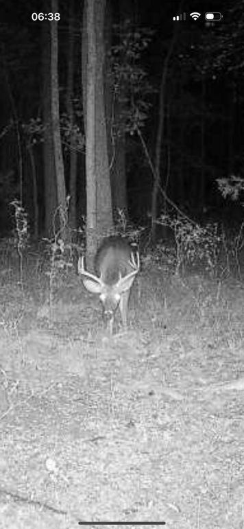 2-TrailCam