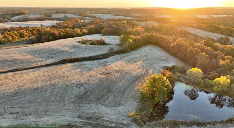 Screenshot 2025-11-20 at 10.09.52 AM