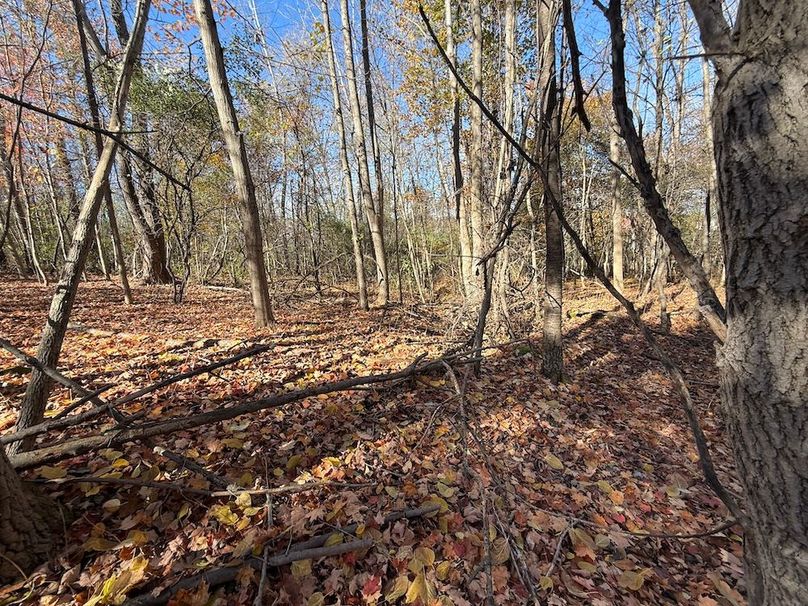 Wayne_18.11_Koehler Photo 20