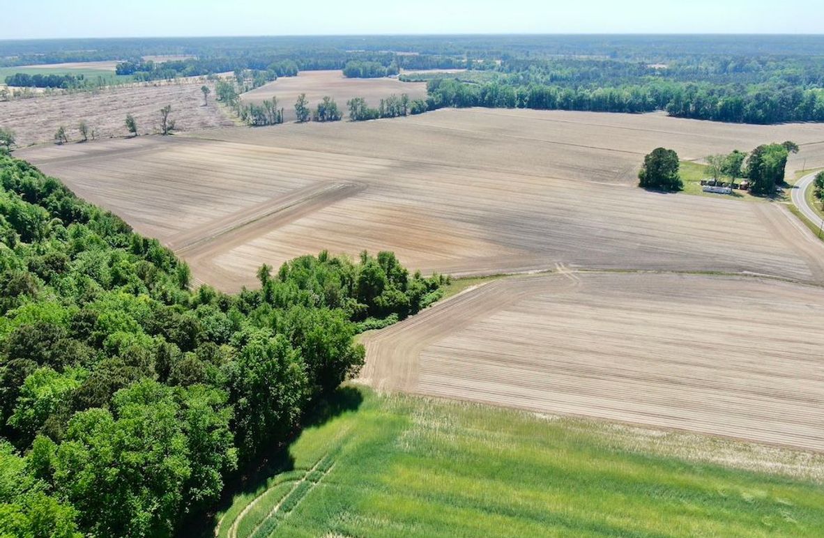 00D263C786C95B51D6785355583B6249