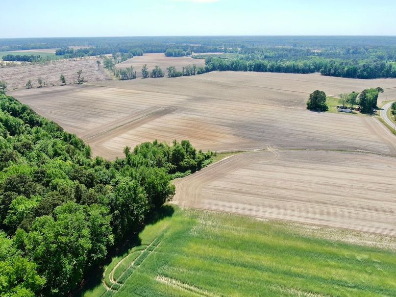 00D263C786C95B51D6785355583B6249