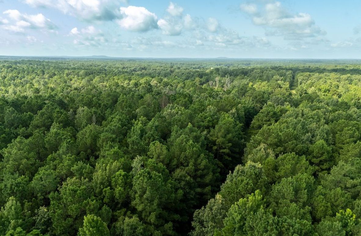 4 Upshur Co. 26ac - Genignani-10