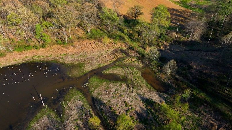 WILLIAMSON, IL 65.00_07_38_17.Still033