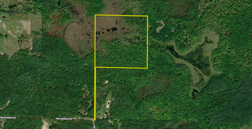 Screenshot 2023-06-01 at 11.39.07 AM