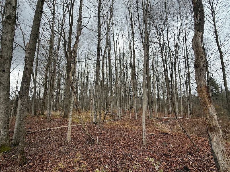 Tompkins_15.15_Galarza Photo 26