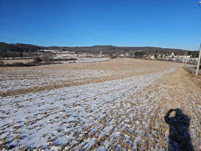 photo_ee3a40a7-551b-4963-880f-3dc9974d3b62