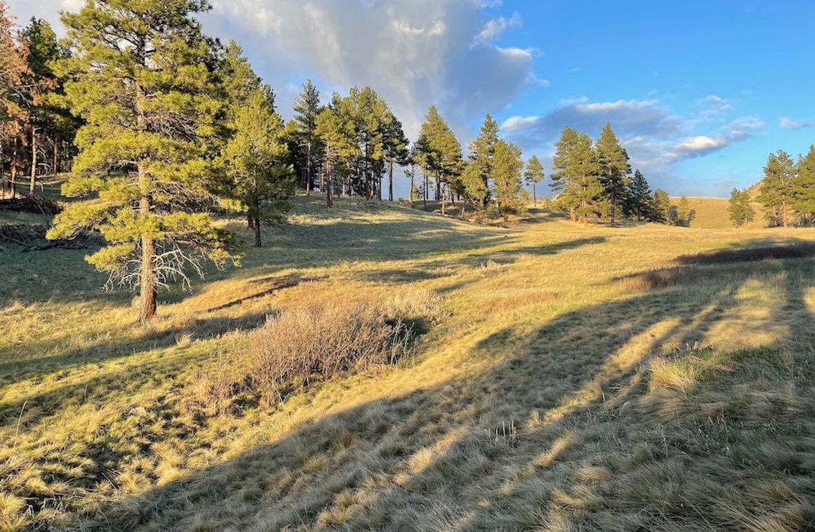 6. 20250430-IMG_5965