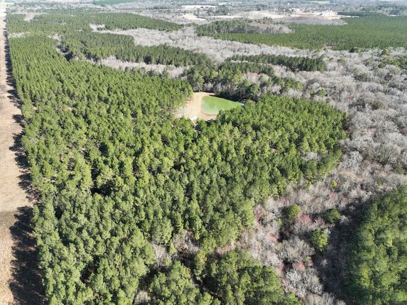 dji_fly_20240207_103616_40_1707320802447_photo