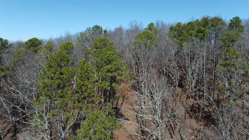 2024-02-13-12-19-52-950