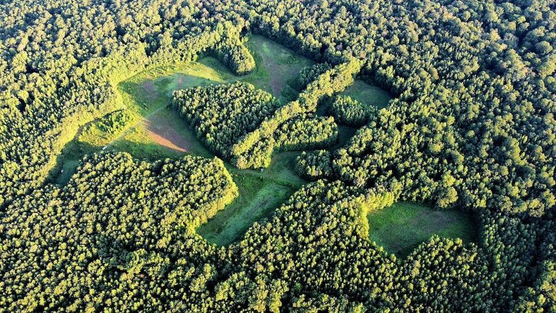 dji_fly_20250726_071518_485_1753528526317_photo_optimized