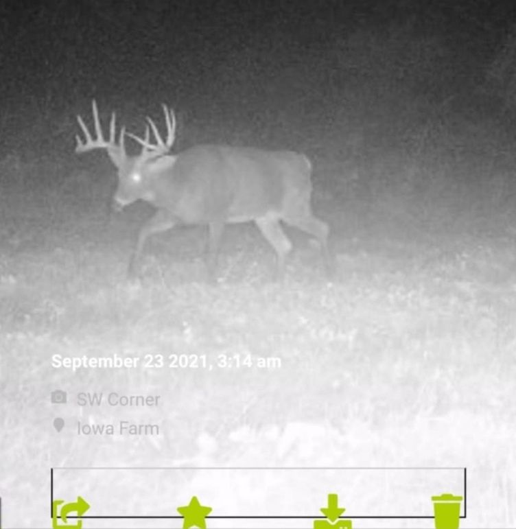 Screenshot_20250414_171028_Messenger