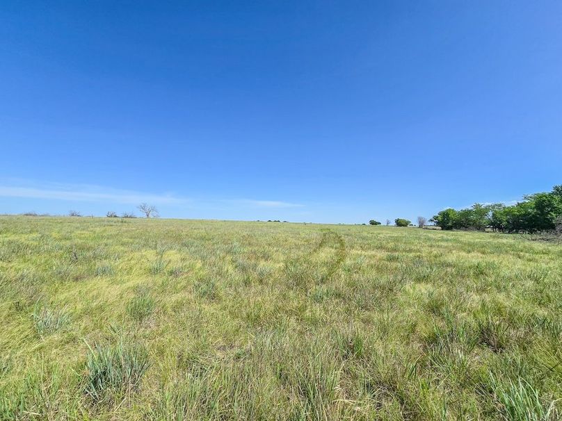 Copy of 20250729_105103